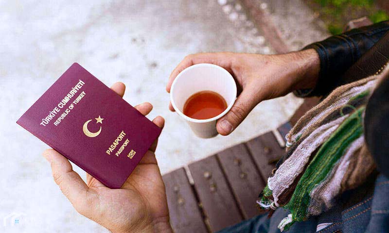 A Comprehensive Guide to Turkey Visa Applications